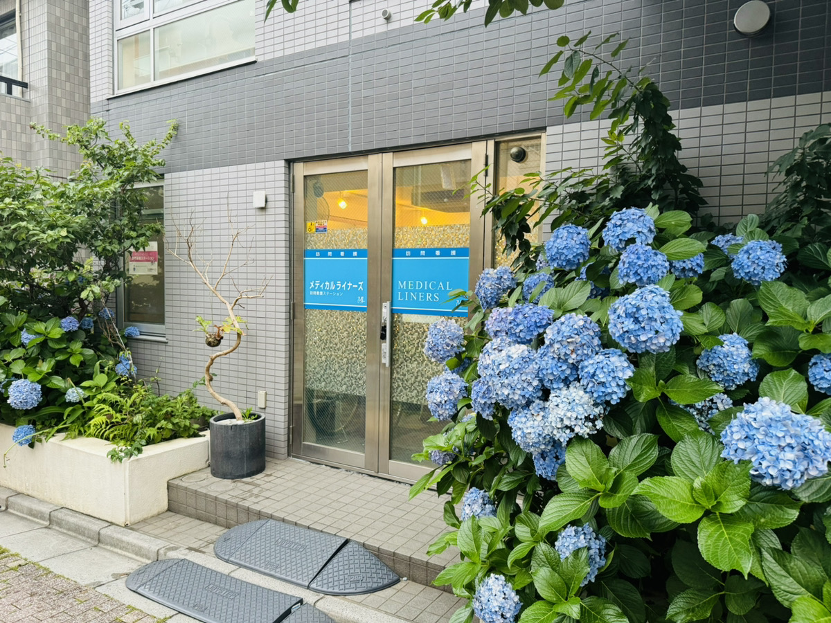 入り口と紫陽花
